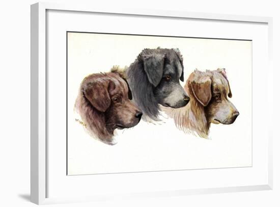 Künstler Jos. Gaber, Drei Hundeschnauzen, Braun, Schwarz-null-Framed Giclee Print