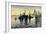 Künstler Oban Schottland, Harbour, Dampfer Im Hafen-null-Framed Giclee Print