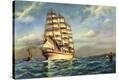 Stretched Canvas Print