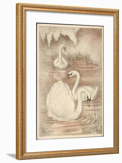 Künstler Swildens, Drei Schwäne Auf Dem Wasser Schwimmend-null-Framed Giclee Print