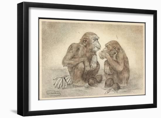 Künstler Swildens, Zwei Schimpansen Mit Kokosnüssen, Bananen-null-Framed Giclee Print