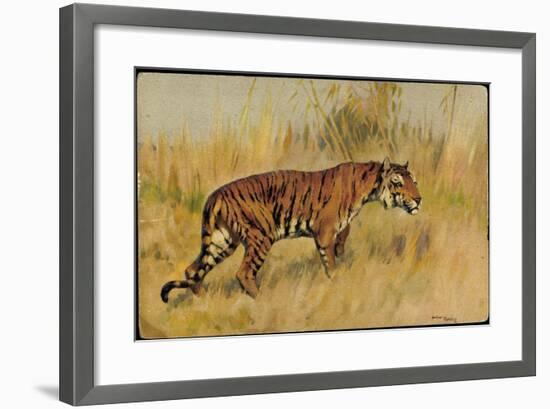 Künstler Tiger, Seitenprofil Des Jagdtieres-null-Framed Giclee Print