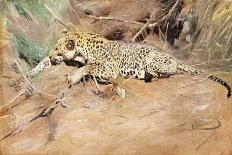 A Leopard-Kuhnert Wilhelm-Framed Premier Image Canvas