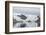 Kujatdeleq Glacier, Prins Christian Sund, southern Greenland, Polar Regions-Tony Waltham-Framed Photographic Print