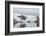 Kujatdeleq Glacier, Prins Christian Sund, southern Greenland, Polar Regions-Tony Waltham-Framed Photographic Print