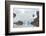 Kujatdeleq Glacier, Prins Christian Sund, southern Greenland, Polar Regions-Tony Waltham-Framed Photographic Print