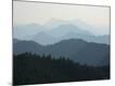Premium Photographic Print