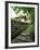 Kumano Pilgrim Road-null-Framed Photographic Print