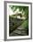 Kumano Pilgrim Road-null-Framed Photographic Print