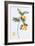 Kumquat, 1996-Margaret Ann Eden-Framed Giclee Print