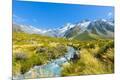Photographic Print
