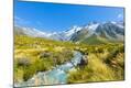 Photographic Print