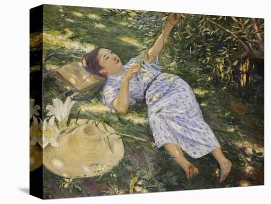 Stretched Canvas Print, , large