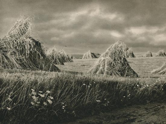 Photographic Print, , large