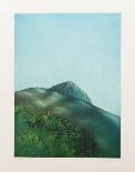 Hillside II-Kurt Schonen-Framed Collectable Print