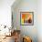 Kurt the Cat-Susse Volander-Framed Premium Giclee Print displayed on a wall