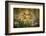 Kuthodaw Pagoda in Mandalay, Myanmar.-Michele Niles-Framed Photographic Print