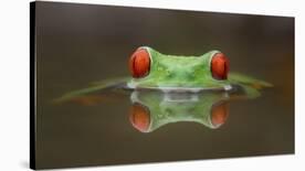 Beauty of Reflection-Kutub Uddin-Framed Photographic Print