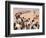 Kuwait Refugees Wait for Bread 1990-Jeff Widener-Framed Photographic Print