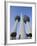 Kuwait Towers, Kuwait City, Kuwait-Walter Bibikow-Framed Photographic Print