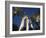 Kuwait Towers, Kuwait City, Kuwait-Walter Bibikow-Framed Photographic Print