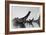 Kwakiutl Canoes, c1914-Edward S. Curtis-Framed Giclee Print