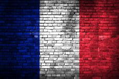 France Flag-kwasny221-Art Print