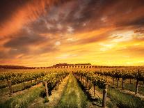 A Rural Adelaide Hills Landscape-kwest19-Framed Photographic Print