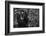 Kwitonda Silverback-Karen Lunney-Framed Premium Photographic Print