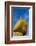 Kyaiktiyo Pagoda, Gold Rock, Mon State, Myanmar-Keren Su-Framed Photographic Print