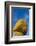 Kyaiktiyo Pagoda, Gold Rock, Mon State, Myanmar-Keren Su-Framed Photographic Print