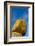 Kyaiktiyo Pagoda, Gold Rock, Mon State, Myanmar-Keren Su-Framed Photographic Print