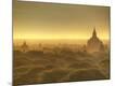 Premium Photographic Print