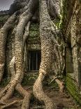 The Ta Prohm Temple Located at Angkor in Cambodia-Kyle Hammons-Framed Photographic Print