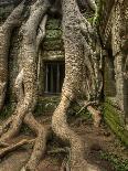 The Ta Prohm Temple Located at Angkor in Cambodia-Kyle Hammons-Framed Photographic Print