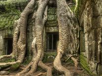 The Ta Prohm Temple Located at Angkor in Cambodia-Kyle Hammons-Photographic Print
