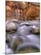 Photographic Print