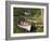 Kylemore Abbey and Lake, Connemara, County Galway, Connacht, Republic of Ireland, Europe-Richard Cummins-Framed Photographic Print