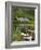 Kylemore Abbey, Connemara, County Galway, Connacht, Republic of Ireland-Gary Cook-Framed Photographic Print