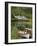 Kylemore Abbey, Connemara, County Galway, Connacht, Republic of Ireland-Gary Cook-Framed Photographic Print