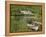 Kylemore Abbey, Connemara, County Galway, Connacht, Republic of Ireland-Gary Cook-Framed Premier Image Canvas