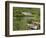 Kylemore Abbey, Connemara, County Galway, Connacht, Republic of Ireland-Gary Cook-Framed Photographic Print