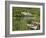 Kylemore Abbey, Connemara, County Galway, Connacht, Republic of Ireland-Gary Cook-Framed Photographic Print