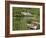 Kylemore Abbey, Connemara, County Galway, Connacht, Republic of Ireland-Gary Cook-Framed Photographic Print