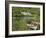 Kylemore Abbey, Connemara, County Galway, Connacht, Republic of Ireland-Gary Cook-Framed Photographic Print