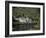 Kylemore Abbey, County Galway, Connacht, Eire (Republic of Ireland)-Roy Rainford-Framed Photographic Print