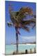 Premium Photographic Print