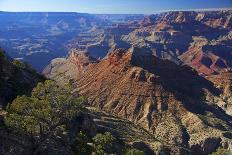 USA, Arizona, Grand Canyon Vista-Kymri Wilt-Photographic Print
