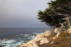 USA, California, Monterey. 17-Mile Drive Coast Near Ghost Tree-Kymri Wilt-Photographic Print