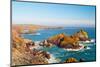 Kynance Cove, Lizard, Cornwall, England, United Kingdom, Europe-Kav Dadfar-Mounted Photographic Print